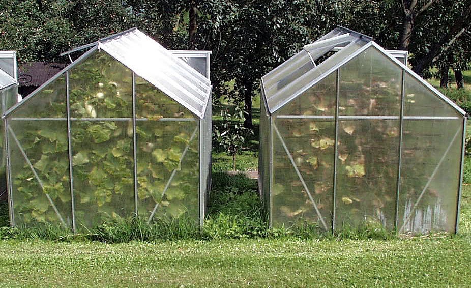 Schutzglas-Gewächshäuser aus EMF-Schutzmaterial für elektromagnetische Felder im Garten, nachhaltige Abwehr von elektromagnetischer Strahlung, umweltfreundliche Gartenlösungen.