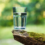 Glas Wasser auf bemoostem Ast im Freien