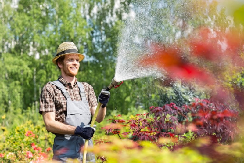 Uomo che annaffia le piante in giardino, circondato dalla natura, con un focus sulle misure di protezione EMF per piante e ambiente sani.